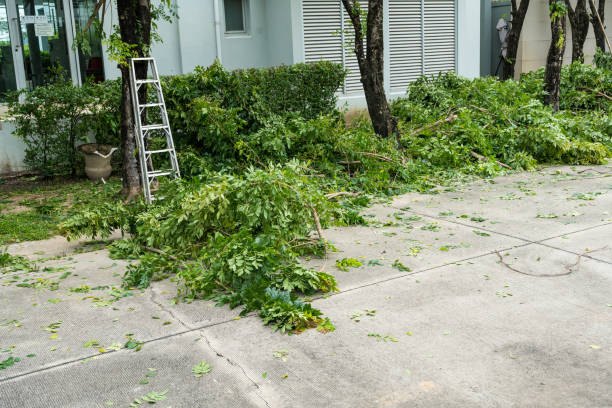Best Lawn Maintenance Plans  in North Beach, MD